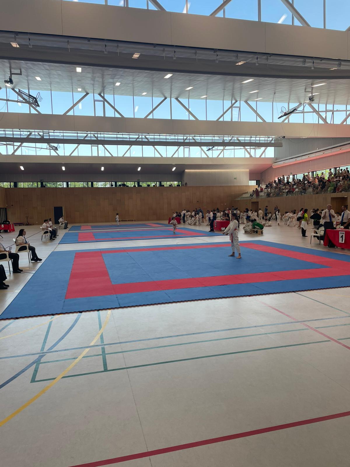 Celebrados los XXXVIII JDN de Kata Alevín, Infantil y Juvenil, y Campeonato Navarro Benjamín